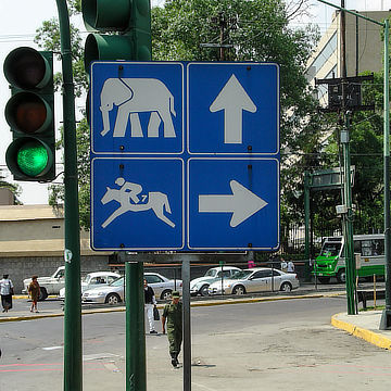 Follow the Elephant Route